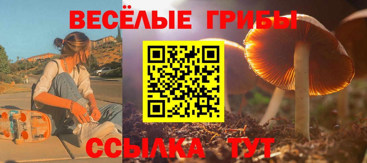 Псилоцибиновые грибы Psilocybe  Галлюциногенные грибы Psilocybine cubensis  Аксай  Вход с VPN 